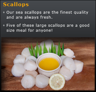 Fresh Scallops